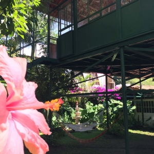  - combatir conductas autodestructivas, jaguar