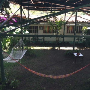  - jaguar, grupos de apoyo