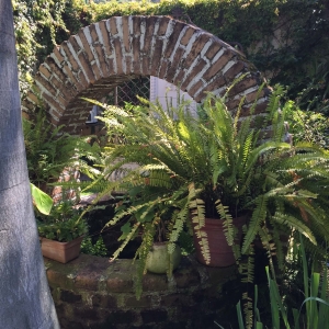  - terapia, salud mental