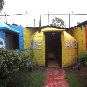  - alcoholismo, jaguar