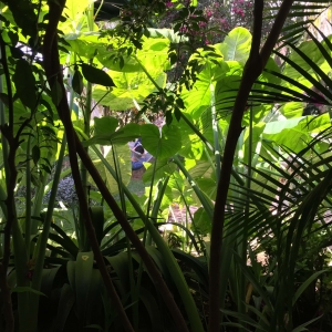  - bulimia, salud mental