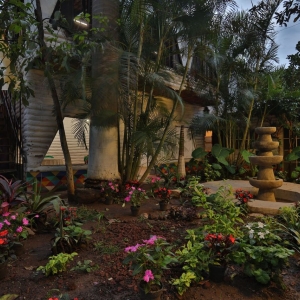  - grupos de apoyo, jalisco