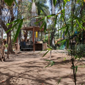  - jalisco, alcoholismo