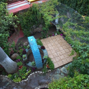  - vive en armonia,mexico