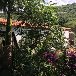  - corazon, alcoholismo