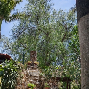  - drogadicci&oacute;n, m&eacute;xico