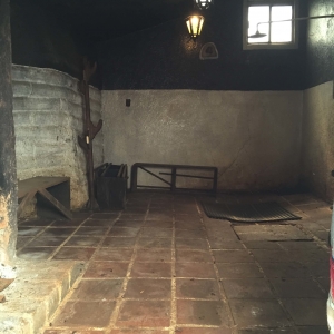  - salud mental, vivir libremente