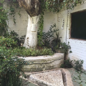  - mexico, salud mental