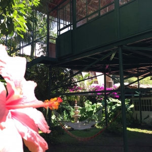  - grupos de apoyo, m&eacute;xico