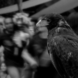  - anorexia,tlajomulco