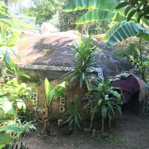  - jalisco, salud mental