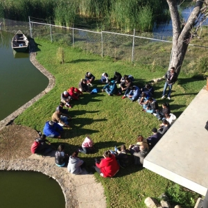  - salud emocional,jalisco