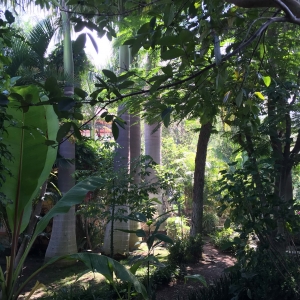  - tlajomulco, drogadicci&oacute;n