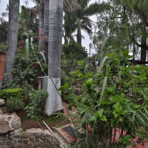  - ayuda contra adicciones