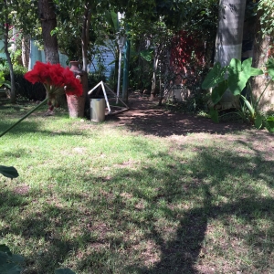  - grupos de apoyo,tlajomulco