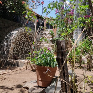  - bulimia, vive en armonia