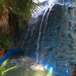  - bulimia, ayuda contra adicciones