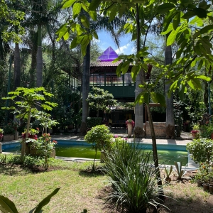  - grupos de apoyo, anorexia